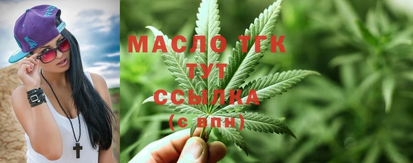 spice Каменка