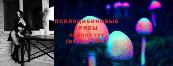 ECSTASY Каменск-Шахтинский