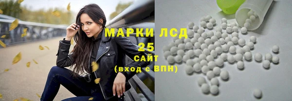 ГАЛЛЮЦИНОГЕННЫЕ ГРИБЫ Иннополис
