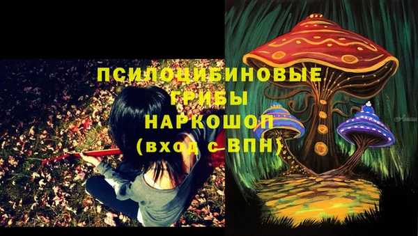 MDMA Инсар