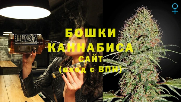 spice Каменка