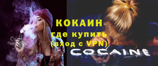 spice Каменка