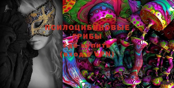 spice Каменка